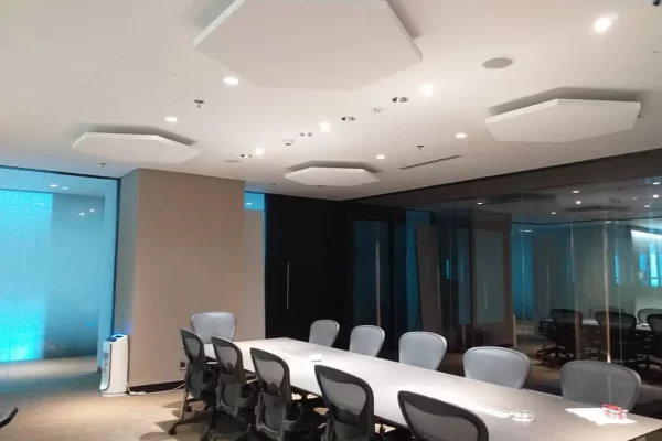 ceiling panels for sound control