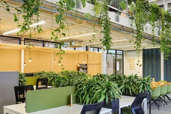 biophilic design for workspace