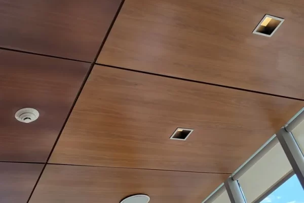 Ceiling panels