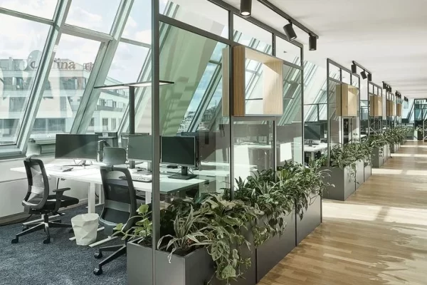 natural lighting for offices