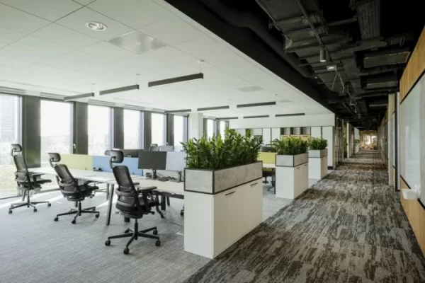 natural lighting designs for workspaces