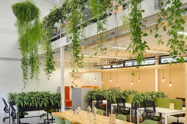 biophilic design for office interiors