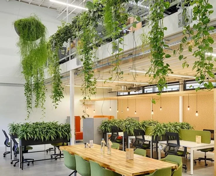 biophilic design for office interiors