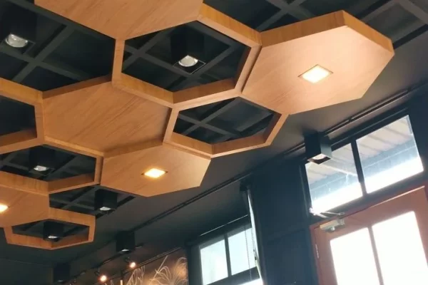 Hexagonal modern ceilings