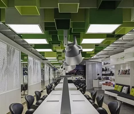 Green color office ceiling with linear workstation