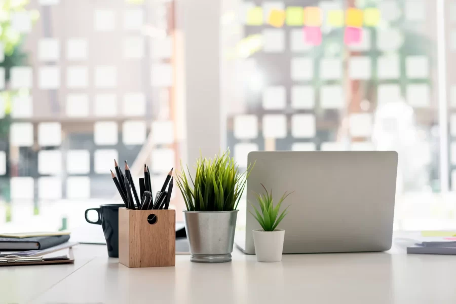 Small plants on desk