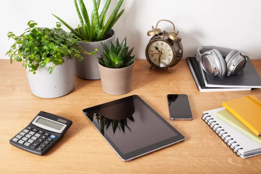 small plants, clock and othere materials on desk