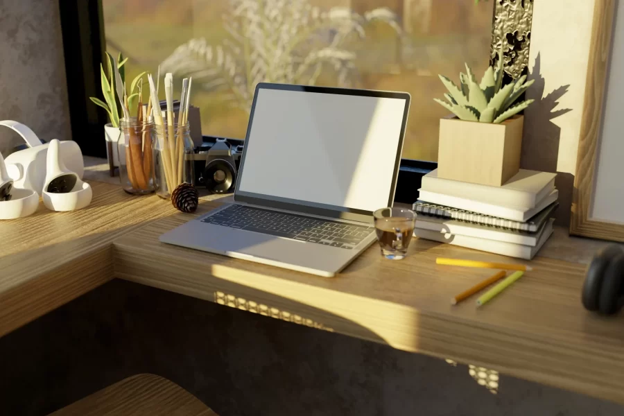 small plants, laptop and books on desk